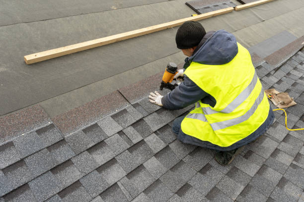 Best Roof Gutter Cleaning  in Pine City, MN