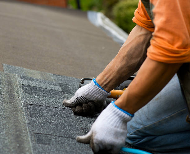 Quick and Trustworthy Emergency Roof Repair Services in Pine City, MN