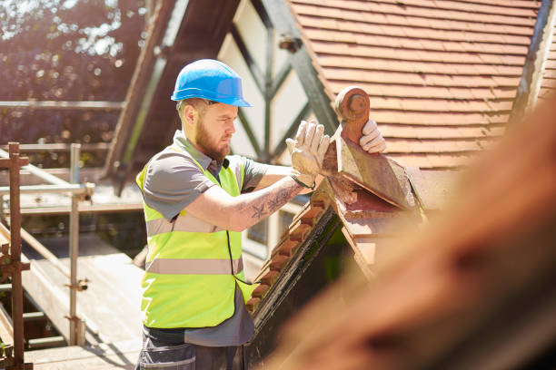 Best Storm Damage Roof Repair  in Pine City, MN