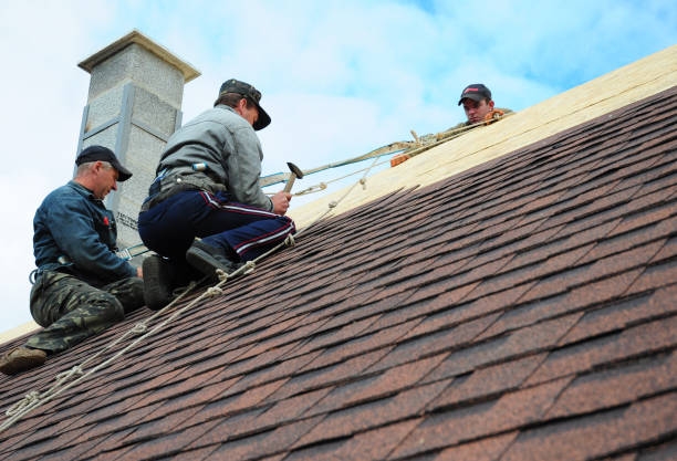 Best Roof Replacement Cost  in Pine City, MN